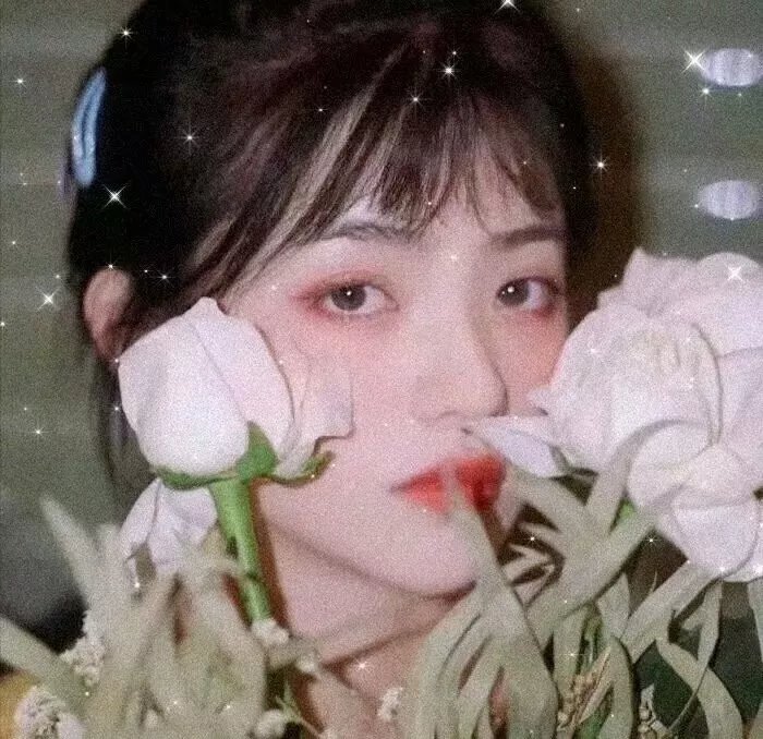 监狱不设防