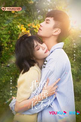 情歌风波 封面图